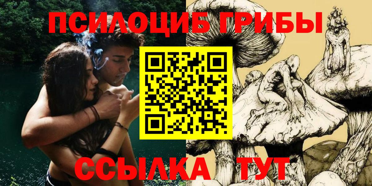 Псилоцибиновые грибы мицелий Новозыбков